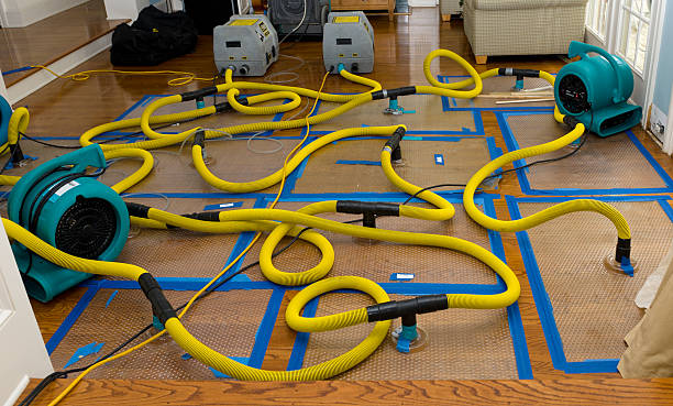 Professional Water Damage Repair technician working in Andover, NH